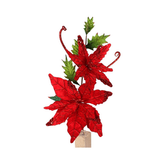 Red Velvet Poinsettia