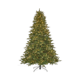 Forest Sierra Fir LED Christmas Tree
