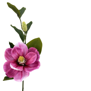 Pink Magnolia Stem