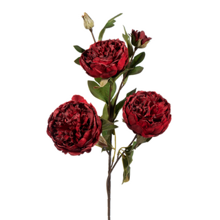 Large Peony Spray, Dried Red