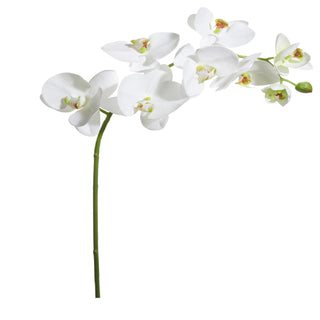 Real Touch White Phalaenopsis Stem
