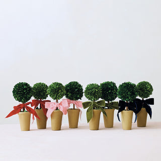 Dried Boxwood Topiary with Red Velvet Bow