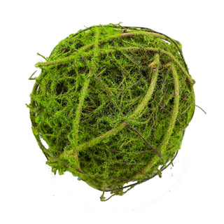 Moss Ball, 4"