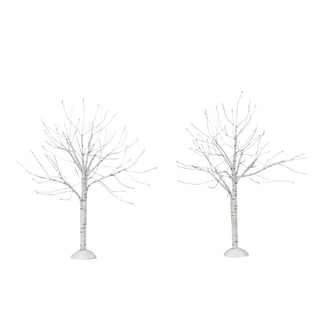 Winter Birch Trees, Dept. 56