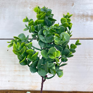 Real Touch Eucalyptus Pick