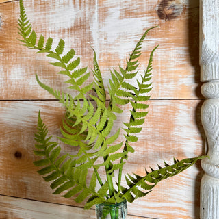 Short Fern Spray