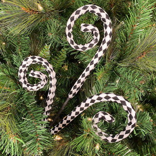 Harlequin Curly Spray