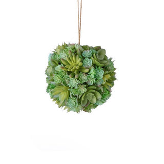 Large Gray Green Succulent Orb