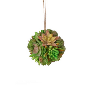Mixed Succulent Orb, 4"