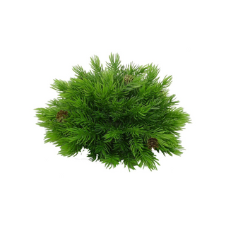 Plastic Pine Half Ball