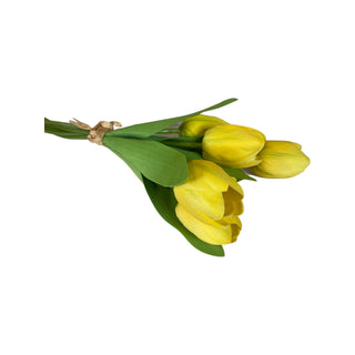 Tulip Bundle, Yellow