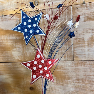 Patriotic Polkadot Star Spray
