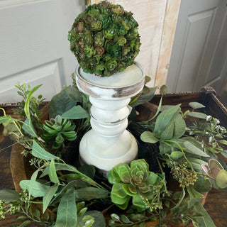 Mix Succulent Wreath 6"
