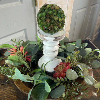 Mixed Succulent Wreath 6"