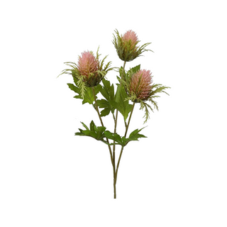 Blush Teasel Spray