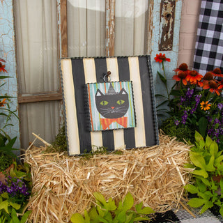 Black & White Display Board